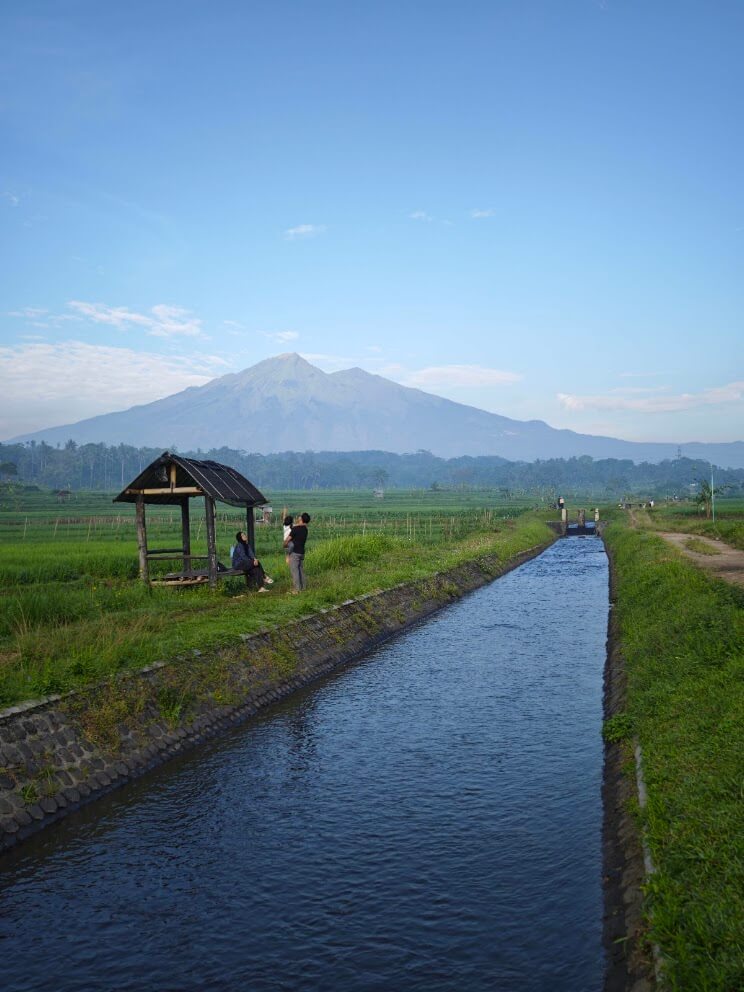 Menikmati Pagi atau Sore di Persawahan Tegalwaton di Salatiga dan sekitarnya